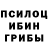 Галлюциногенные грибы Psilocybe Jenard Swaby