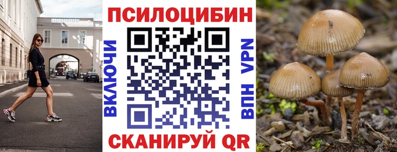 купить  сайты  маркетплейс формула  Псилоцибиновые грибы Magic Shrooms  Кувандык 